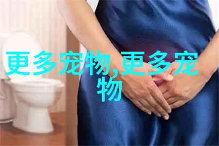 法国梗