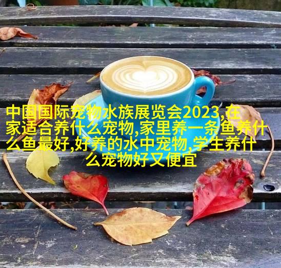 哈士奇