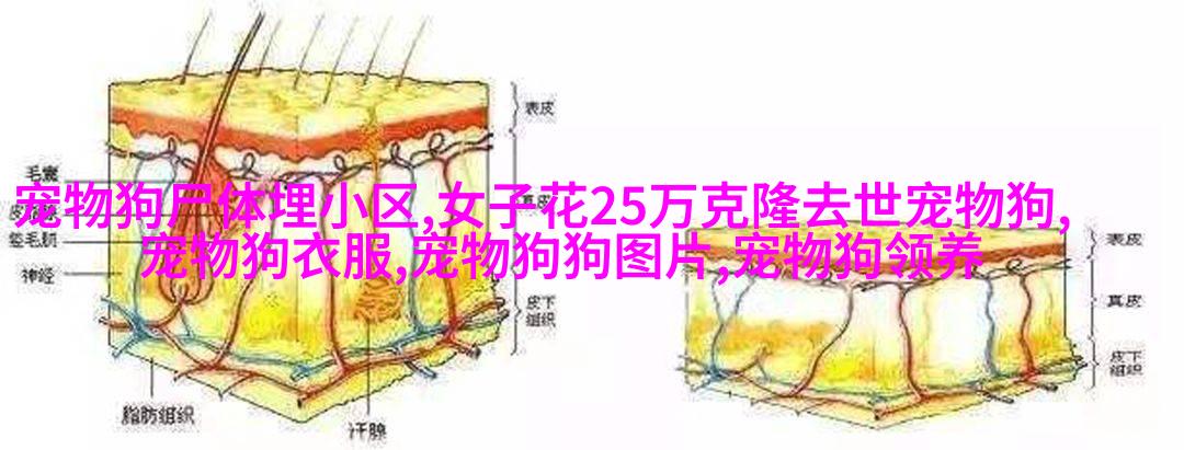 自然之子