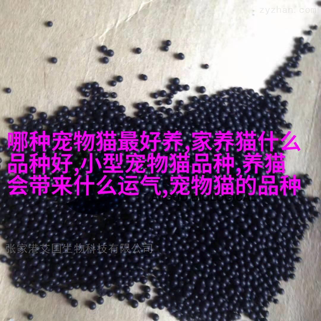 图2: 豆袋狗头部细节