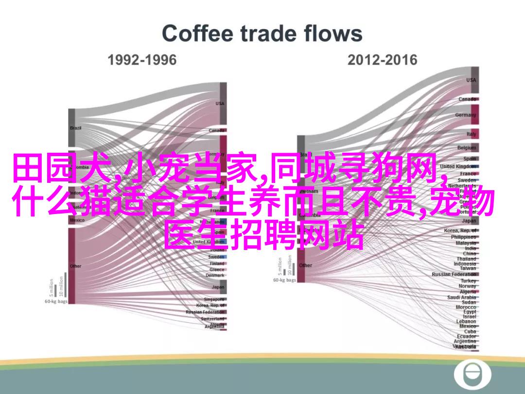 养银龙鱼的好处有哪些?