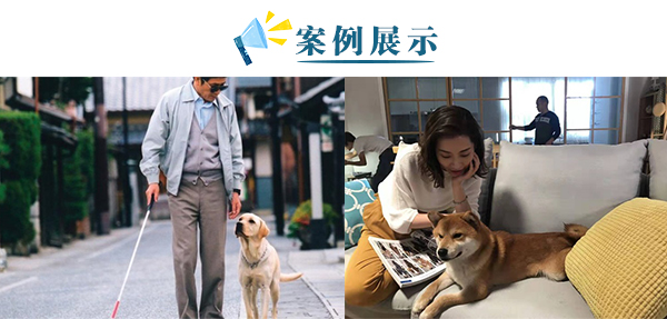 宠物训犬师培训训犬师训练_训犬师培训学费大概要多少钱_训犬师培训技术教程/