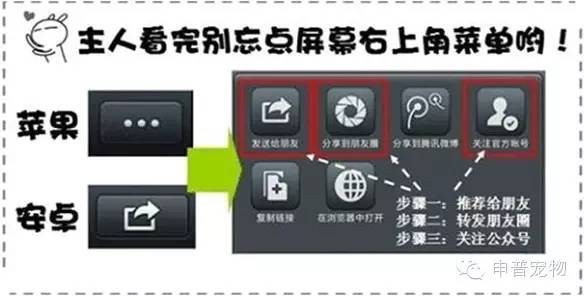 训练狗狗用狗粮还是零食_刚买的狗狗怎么训练_训练狗狗买什么零食/