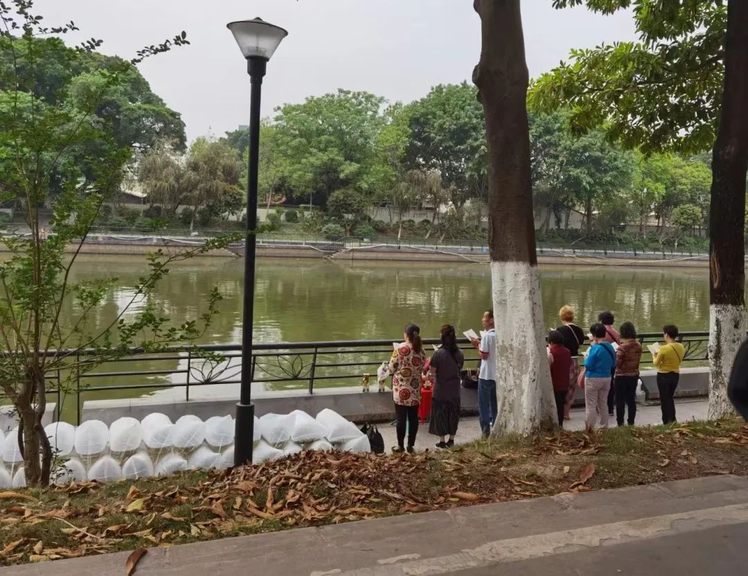 小型水生动物有哪些_小型水生动物_小型水生动物图片/