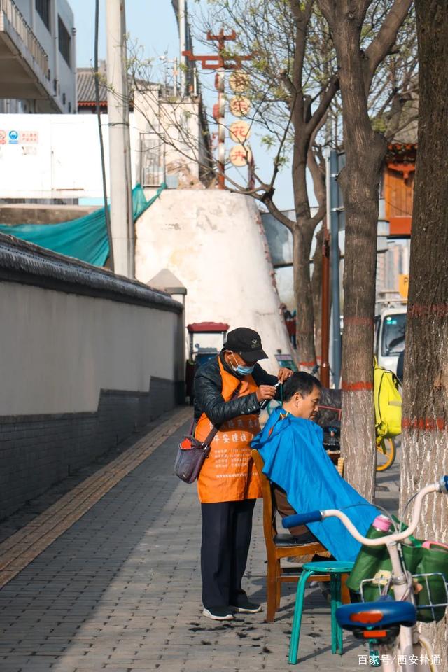 宠物狗交易市场_宠物狗市场价格表_狗狗宠物市场