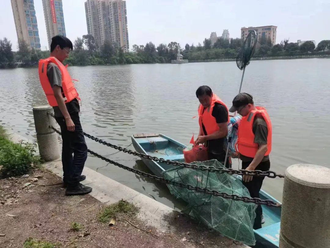 小型水生动物有哪些_小型水生动物_小型水生动物图片