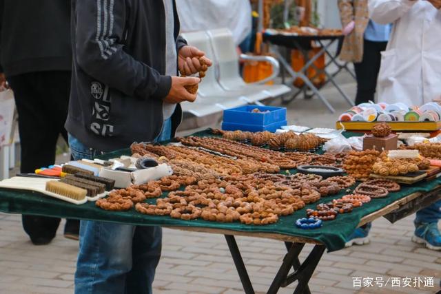 宠物狗市场价格表_宠物狗交易市场_狗狗宠物市场