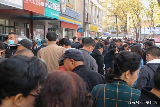 狗狗宠物市场_宠物狗市场价格表_宠物狗交易市场