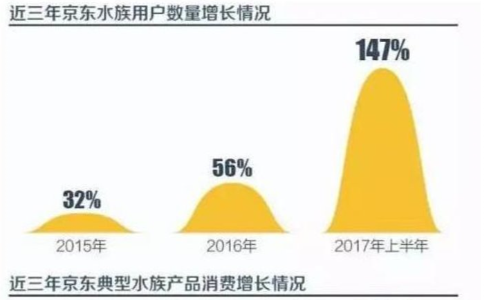 宠物水族家养适合什么鱼_水族好养宠物_适合家养的水族宠物