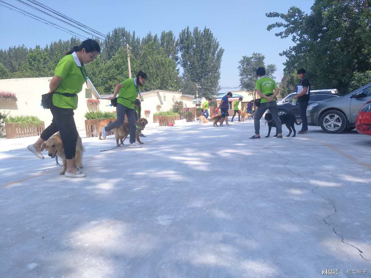 训犬师学徒_训犬师学徒招聘_广州训犬基地学徒