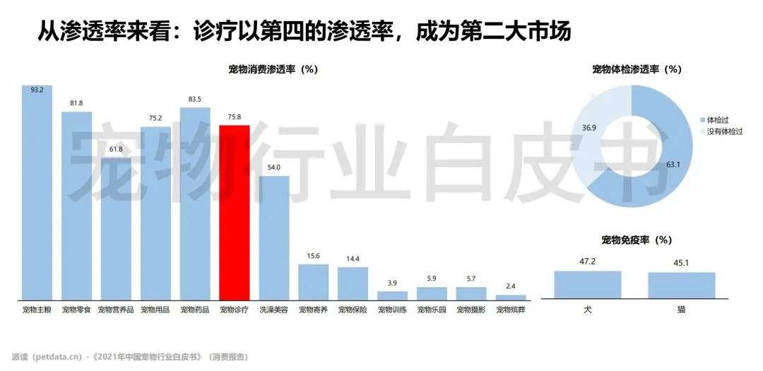 更多宠物_更多选择更多欢笑广告_更多选择更多欢笑英文