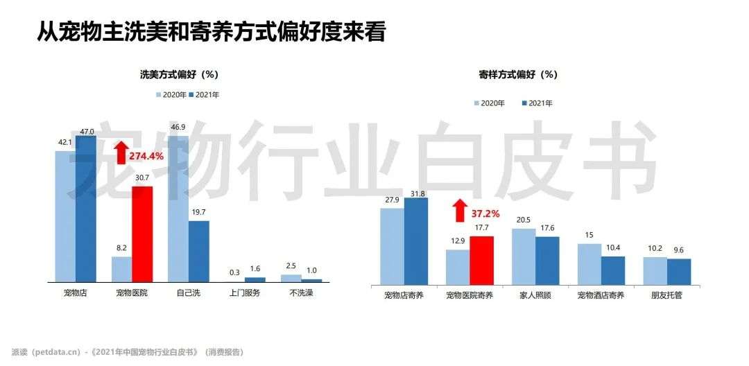 更多宠物_更多选择更多欢笑英文_更多选择更多欢笑广告