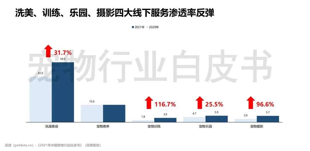 更多宠物_更多选择更多欢笑英文_更多选择更多欢笑广告