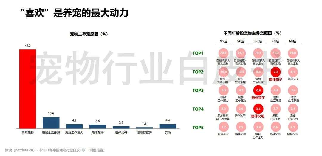 更多宠物_更多选择更多欢笑英文_更多选择更多欢笑广告