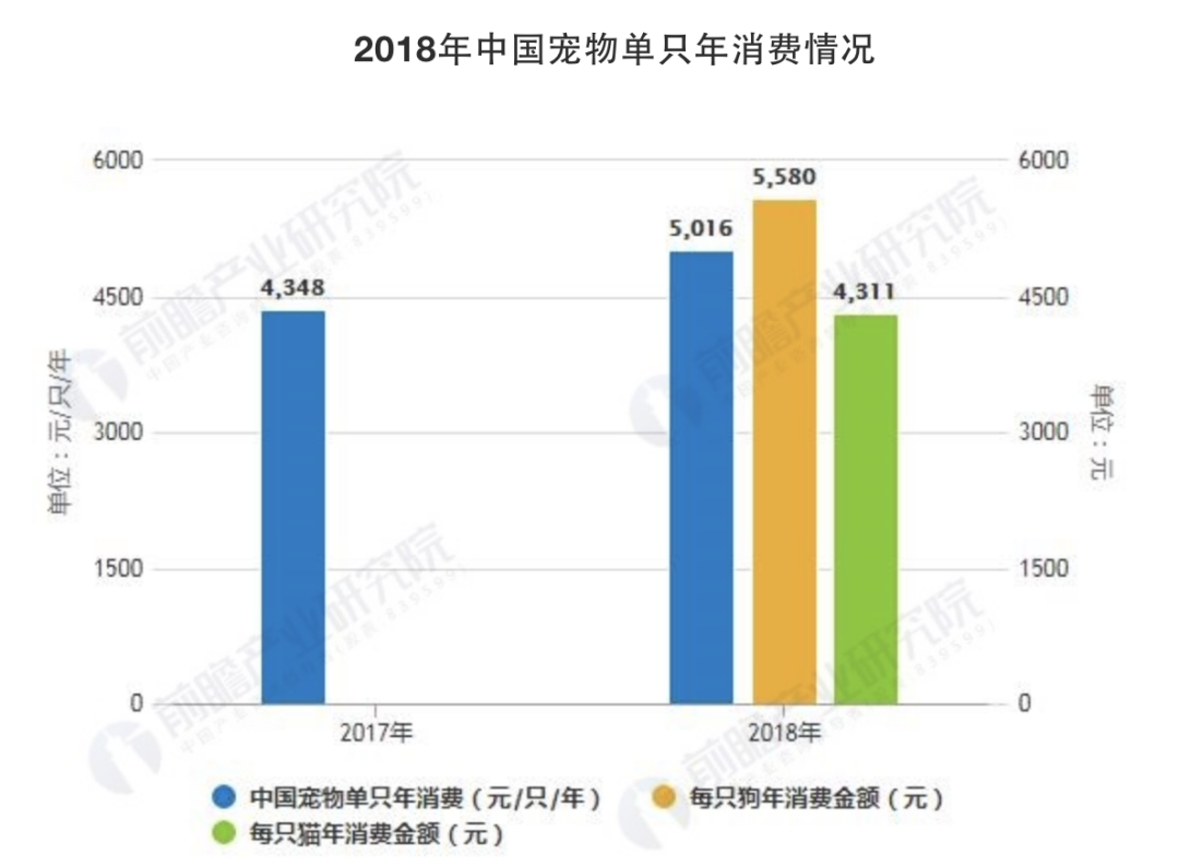 问一下宠物_更多宠物_宠物宠物