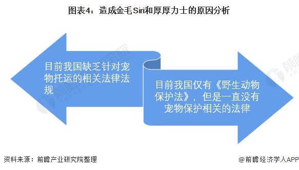 图表4：造成金毛Siri和厚厚力士的原因分析