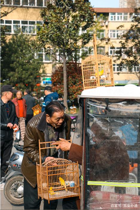 宠物狗市场价格表_宠物狗交易市场_狗狗宠物市场