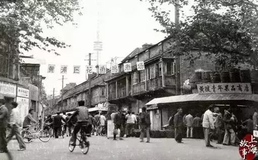 花鸟市场宠物店_去花鸟市场买宠物_买宠物去花鸟市场还是宠物店