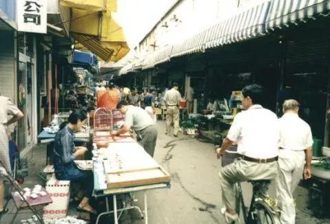 买宠物去花鸟市场还是宠物店_去花鸟市场买宠物_花鸟市场宠物店