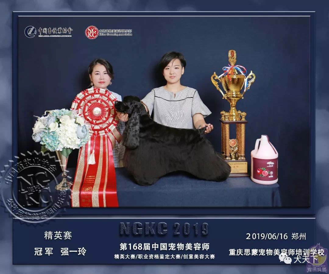 广州学美容哪个学校好_宠物学校培训价格表_北京宠物美容培训学校哪家好