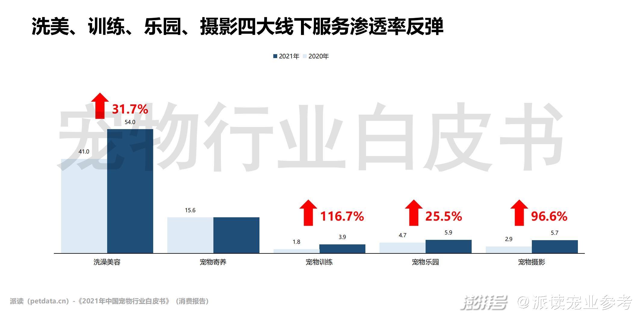 问一下宠物_宠物全部_更多宠物