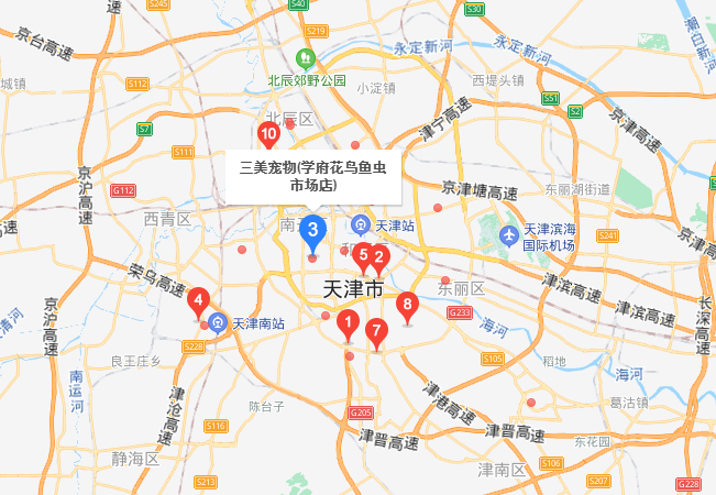 宠物狗市场价格表_宠物狗交易市场_私人出售狗