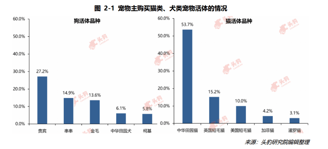 宠物狗交易市场_狗狗宠物市场_宠物狗市场价格表