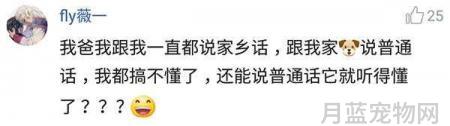 这只狗狗只能活3至6个月,美国男子做了一个艰难的决定:给狗狗截肢