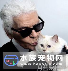 猫咪总是五点多起来吵我，宠物早上起太早吵人怎么办？